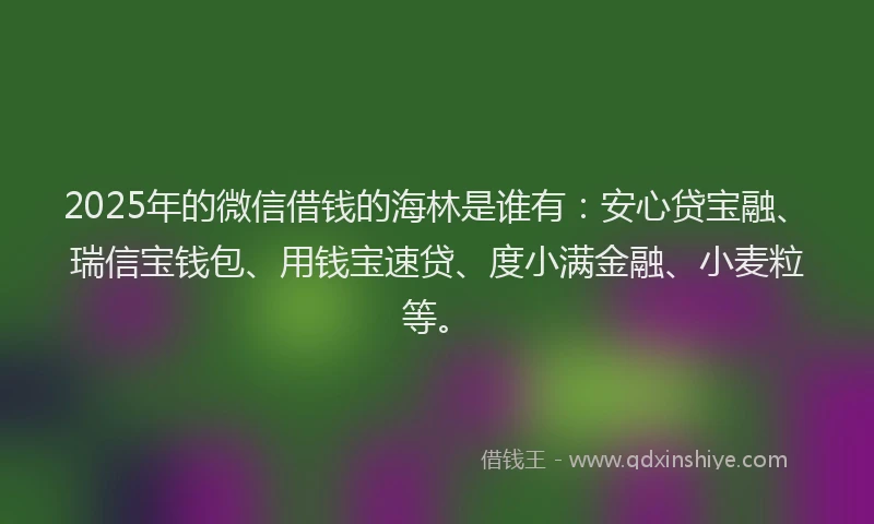 2025年的微信借钱的海林是谁有：安心贷宝融、瑞信宝钱包、用钱宝速贷、度小满金融、小麦粒等。