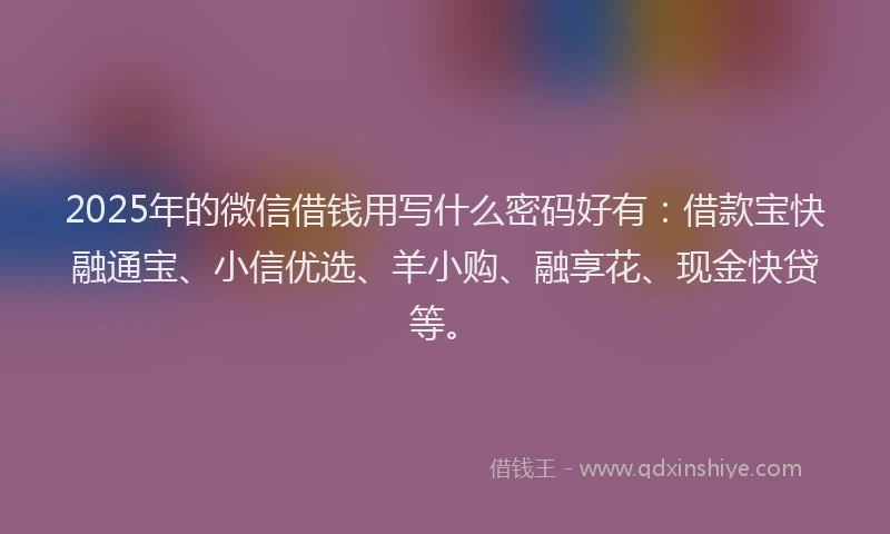 2025年的微信借钱用写什么密码好有：借款宝快融通宝、小信优选、羊小购、融享花、现金快贷等。
