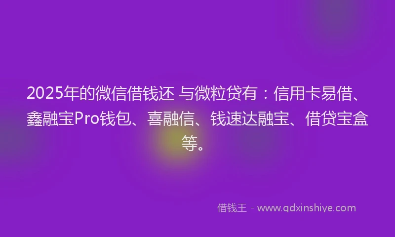 2025年的微信借钱还 与微粒贷有：信用卡易借、鑫融宝Pro钱包、喜融信、钱速达融宝、借贷宝盒等。