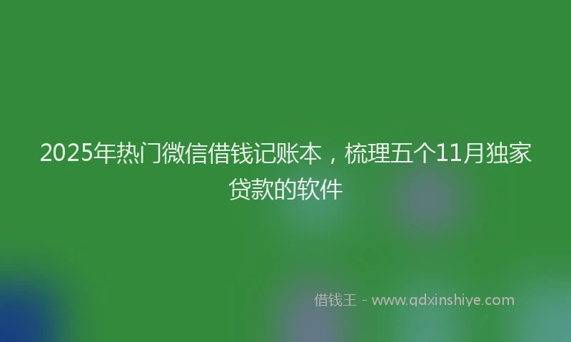 2025年热门微信借钱记账本，梳理五个11月独家贷款的软件