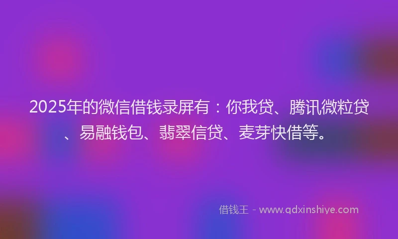2025年的微信借钱录屏有：你我贷、腾讯微粒贷、易融钱包、翡翠信贷、麦芽快借等。