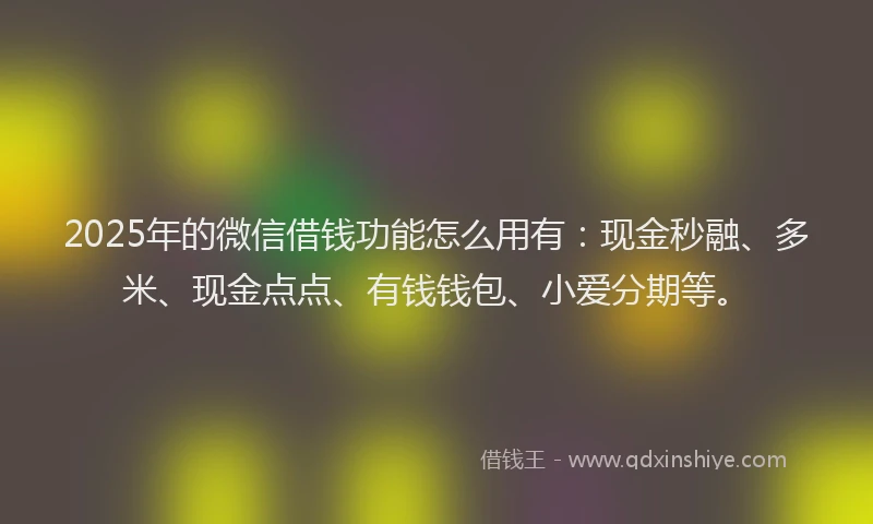 2025年的微信借钱功能怎么用有：现金秒融、多米、现金点点、有钱钱包、小爱分期等。