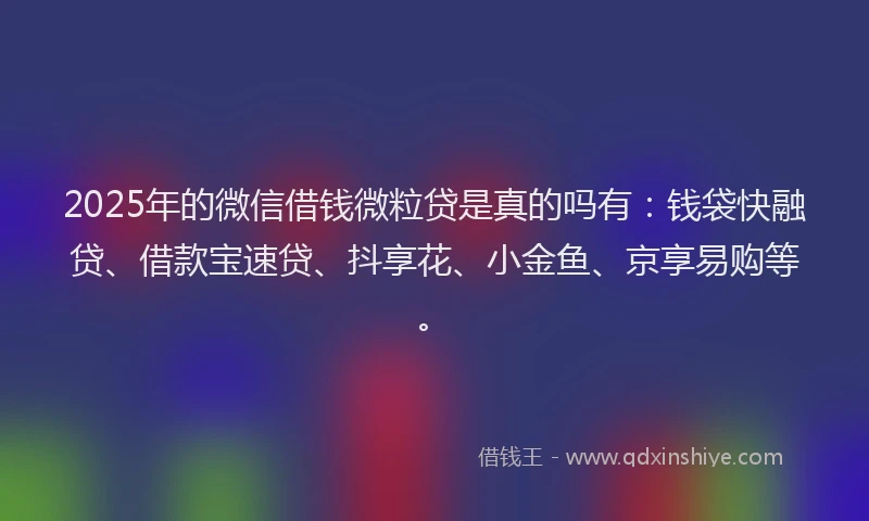 2025年的微信借钱微粒贷是真的吗有：钱袋快融贷、借款宝速贷、抖享花、小金鱼、京享易购等。