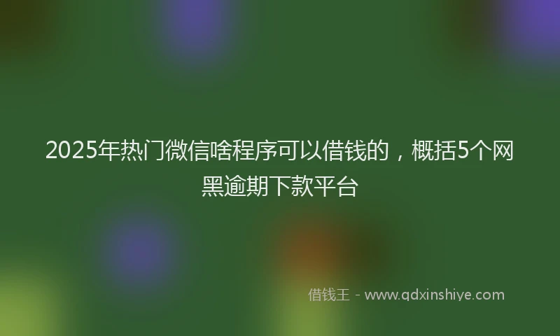 2025年热门微信啥程序可以借钱的，概括5个网黑逾期下款平台