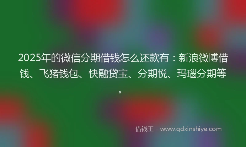 2025年的微信分期借钱怎么还款有：新浪微博借钱、飞猪钱包、快融贷宝、分期悦、玛瑙分期等。