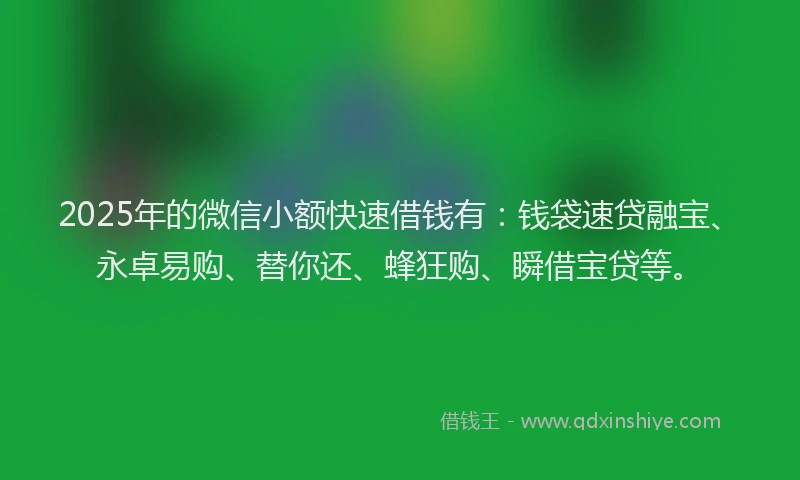 2025年的微信小额快速借钱有：钱袋速贷融宝、永卓易购、替你还、蜂狂购、瞬借宝贷等。