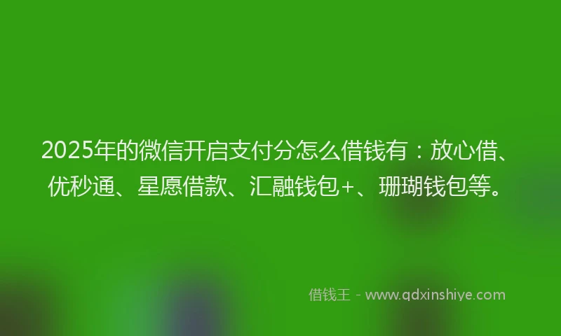 2025年的微信开启支付分怎么借钱有：放心借、优秒通、星愿借款、汇融钱包+、珊瑚钱包等。