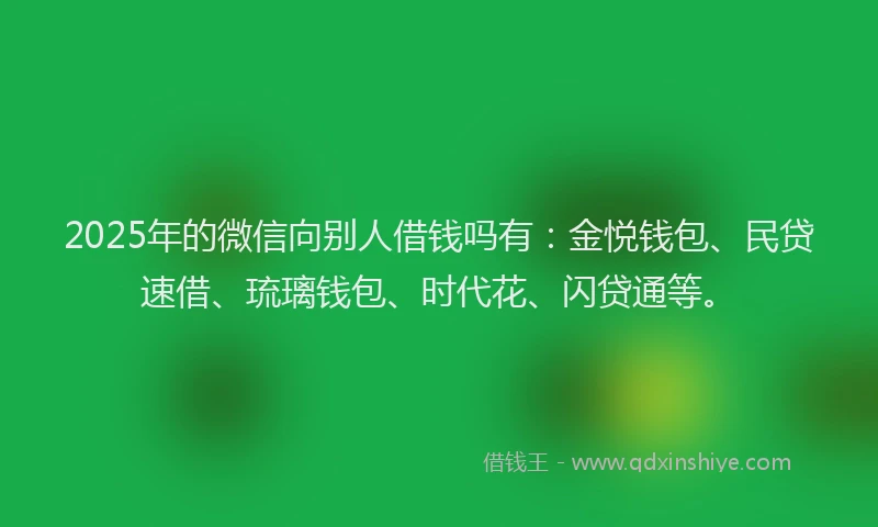 2025年的微信向别人借钱吗有：金悦钱包、民贷速借、琉璃钱包、时代花、闪贷通等。
