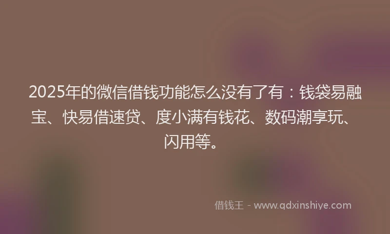 2025年的微信借钱功能怎么没有了有：钱袋易融宝、快易借速贷、度小满有钱花、数码潮享玩、闪用等。