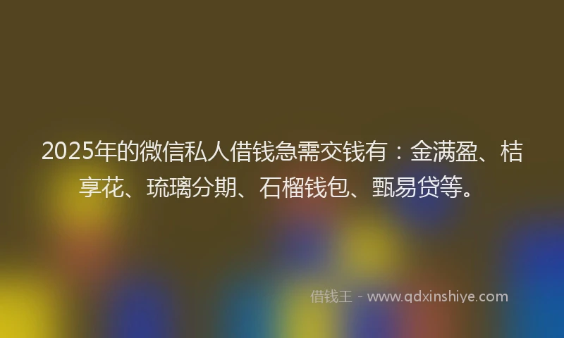 2025年的微信私人借钱急需交钱有：金满盈、桔享花、琉璃分期、石榴钱包、甄易贷等。