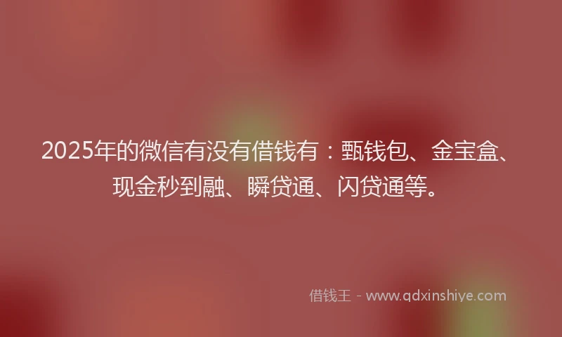 2025年的微信有没有借钱有：甄钱包、金宝盒、现金秒到融、瞬贷通、闪贷通等。