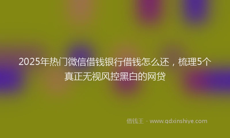 2025年热门微信借钱银行借钱怎么还，梳理5个真正无视风控黑白的网贷