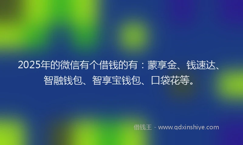 2025年的微信有个借钱的有：蒙享金、钱速达、智融钱包、智享宝钱包、口袋花等。
