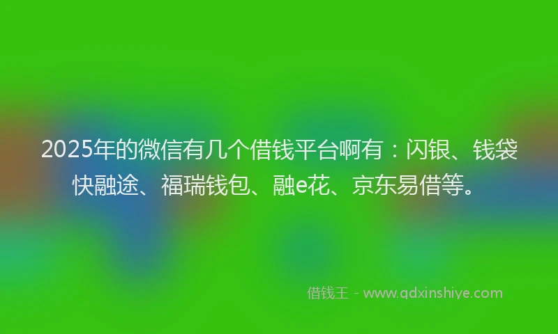 2025年的微信有几个借钱平台啊有：闪银、钱袋快融途、福瑞钱包、融e花、京东易借等。