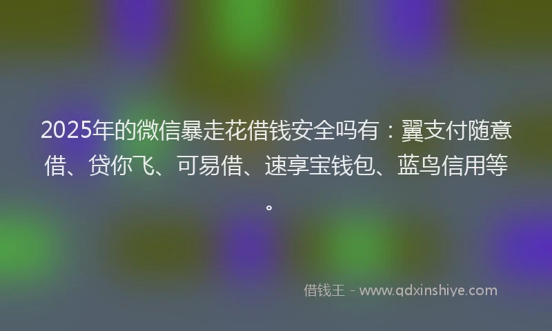 2025年的微信暴走花借钱安全吗有：翼支付随意借、贷你飞、可易借、速享宝钱包、蓝鸟信用等。