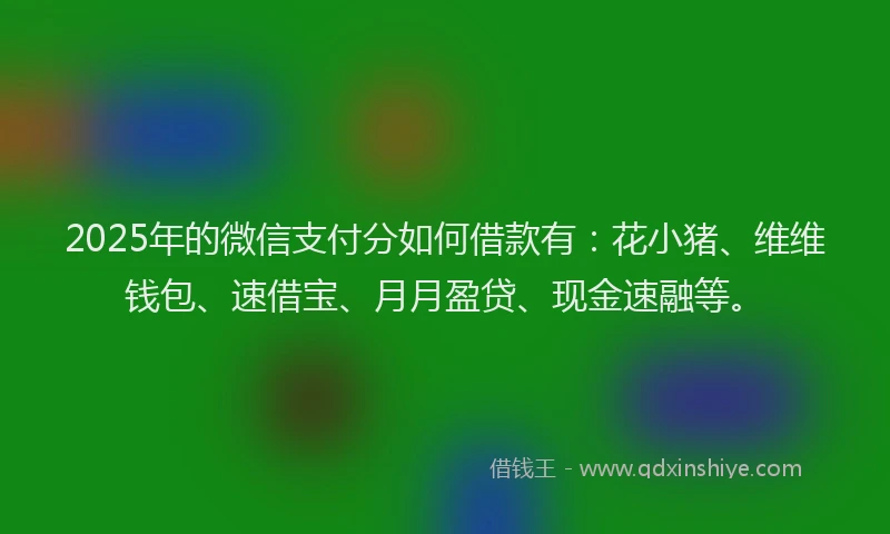 2025年的微信支付分如何借款有：花小猪、维维钱包、速借宝、月月盈贷、现金速融等。