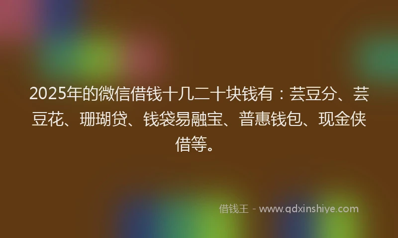 2025年的微信借钱十几二十块钱有：芸豆分、芸豆花、珊瑚贷、钱袋易融宝、普惠钱包、现金侠借等。