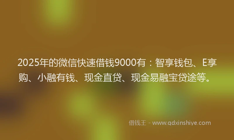 2025年的微信快速借钱9000有：智享钱包、E享购、小融有钱、现金直贷、现金易融宝贷途等。