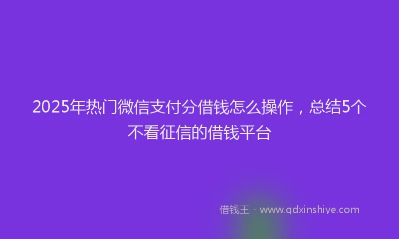 2025年热门微信支付分借钱怎么操作，总结5个不看征信的借钱平台