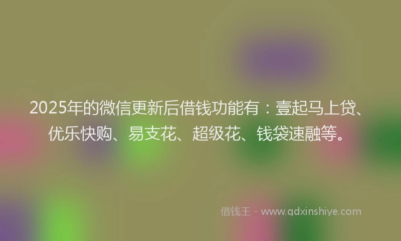 2025年的微信更新后借钱功能有：壹起马上贷、优乐快购、易支花、超级花、钱袋速融等。