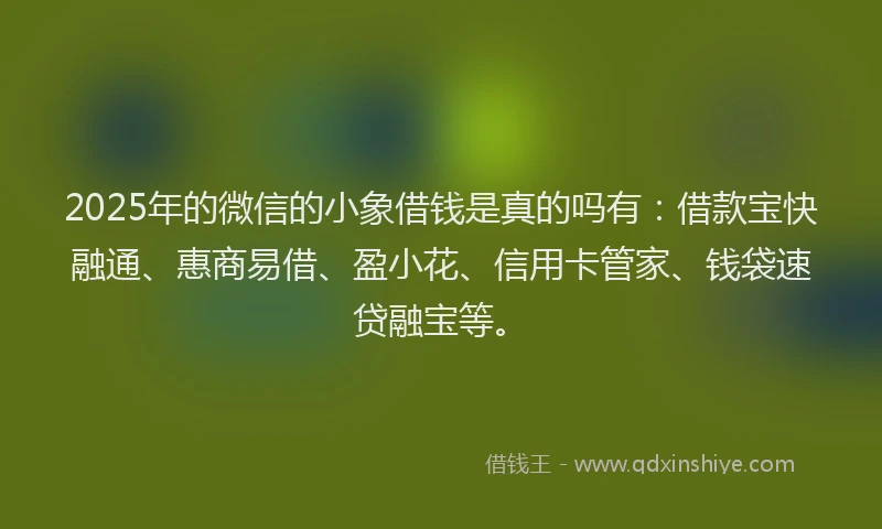 2025年的微信的小象借钱是真的吗有：借款宝快融通、惠商易借、盈小花、信用卡管家、钱袋速贷融宝等。