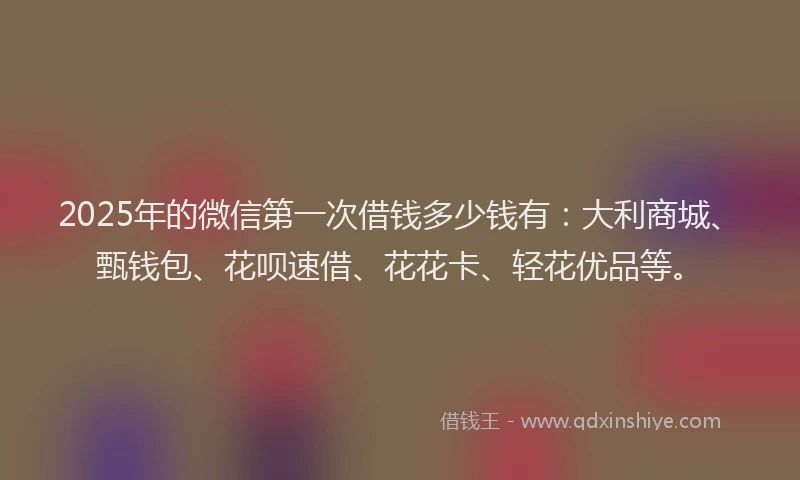 2025年的微信第一次借钱多少钱有：大利商城、甄钱包、花呗速借、花花卡、轻花优品等。
