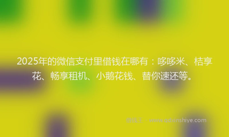 2025年的微信支付里借钱在哪有：哆哆米、桔享花、畅享租机、小鹅花钱、替你速还等。