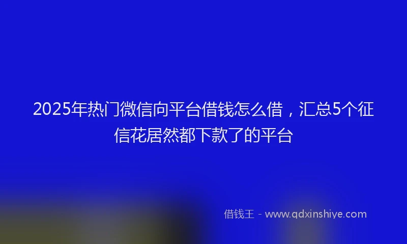 2025年热门微信向平台借钱怎么借，汇总5个征信花居然都下款了的平台