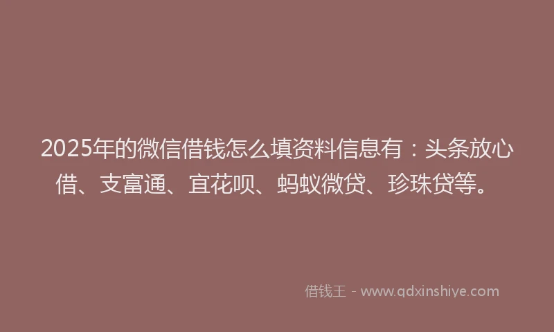 2025年的微信借钱怎么填资料信息有：头条放心借、支富通、宜花呗、蚂蚁微贷、珍珠贷等。