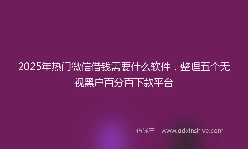 2025年热门微信借钱需要什么软件，整理五个无视黑户百分百下款平台