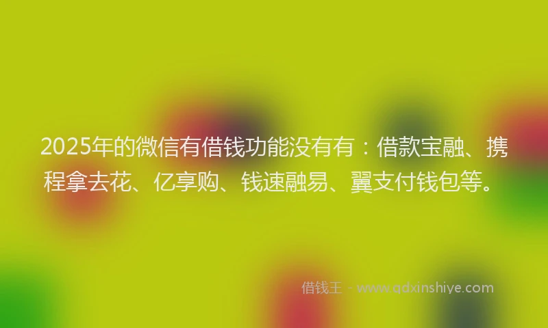 2025年的微信有借钱功能没有有：借款宝融、携程拿去花、亿享购、钱速融易、翼支付钱包等。
