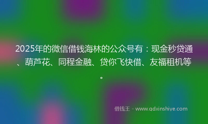 2025年的微信借钱海林的公众号有：现金秒贷通、葫芦花、同程金融、贷你飞快借、友福租机等。