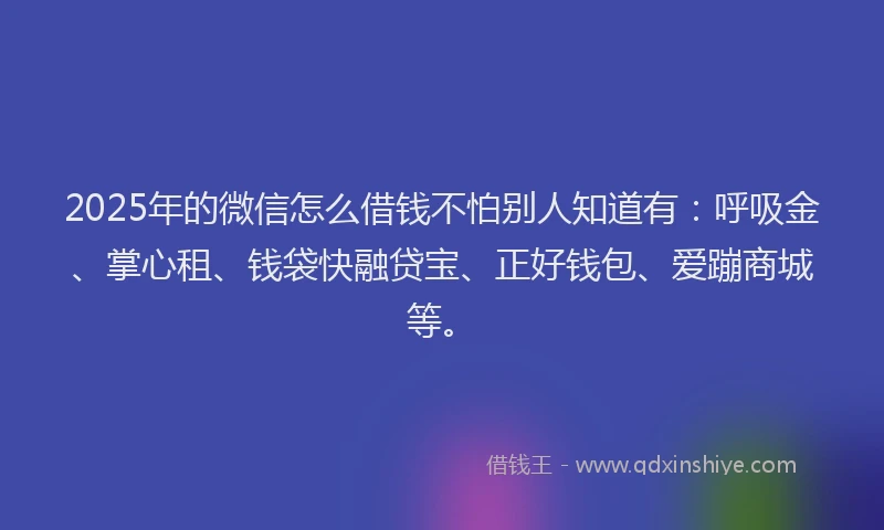 2025年的微信怎么借钱不怕别人知道有：呼吸金、掌心租、钱袋快融贷宝、正好钱包、爱蹦商城等。