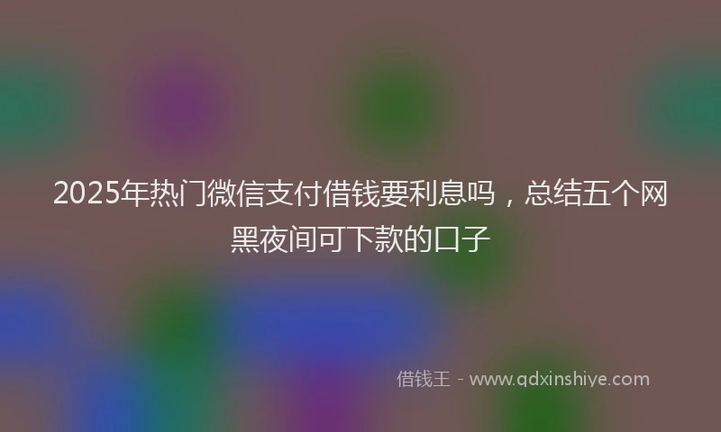 2025年热门微信支付借钱要利息吗，总结五个网黑夜间可下款的口子
