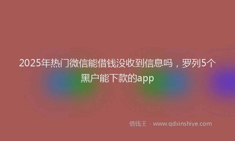 2025年热门微信能借钱没收到信息吗，罗列5个黑户能下款的app