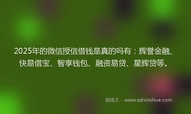 2025年的微信授信借钱是真的吗有：辉誉金融、快易借宝、智享钱包、融资易贷、星辉贷等。