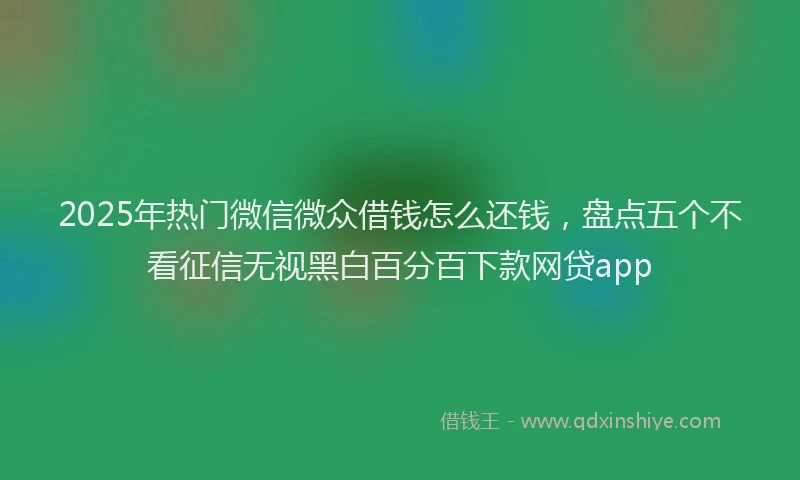 2025年热门微信微众借钱怎么还钱，盘点五个不看征信无视黑白百分百下款网贷app