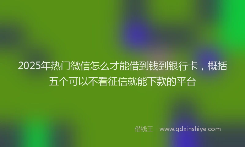 2025年热门微信怎么才能借到钱到银行卡，概括五个可以不看征信就能下款的平台
