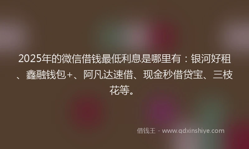 2025年的微信借钱最低利息是哪里有：银河好租、鑫融钱包+、阿凡达速借、现金秒借贷宝、三枝花等。