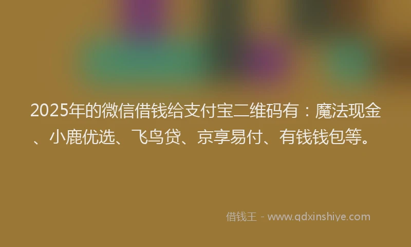 2025年的微信借钱给支付宝二维码有：魔法现金、小鹿优选、飞鸟贷、京享易付、有钱钱包等。