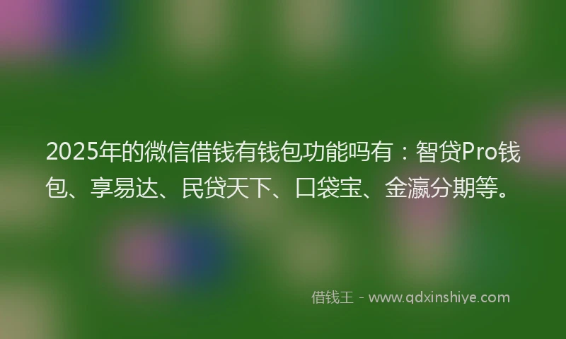 2025年的微信借钱有钱包功能吗有：智贷Pro钱包、享易达、民贷天下、口袋宝、金瀛分期等。