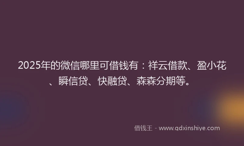 2025年的微信哪里可借钱有：祥云借款、盈小花、瞬信贷、快融贷、森森分期等。