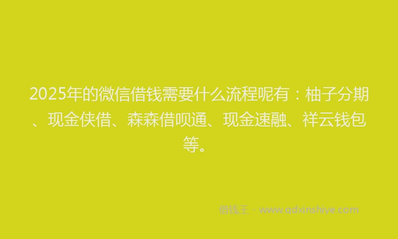 2025年的微信借钱需要什么流程呢有：柚子分期、现金侠借、森森借呗通、现金速融、祥云钱包等。
