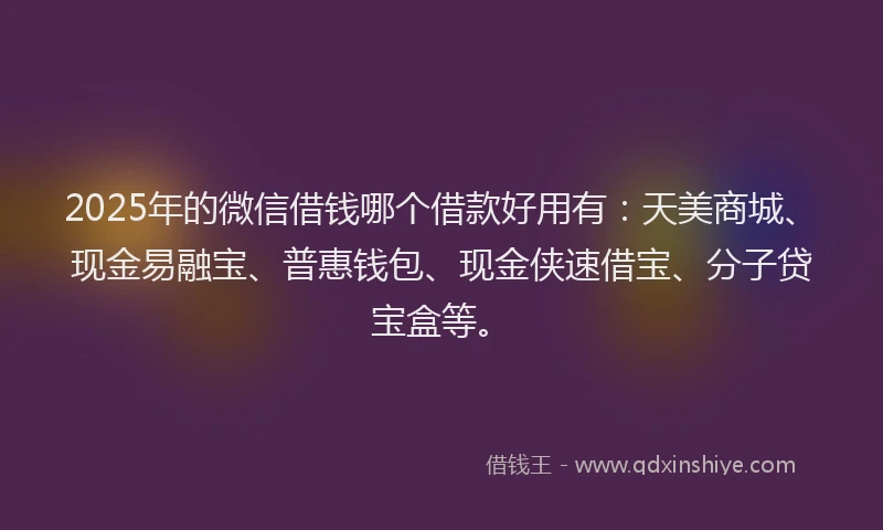 2025年的微信借钱哪个借款好用有：天美商城、现金易融宝、普惠钱包、现金侠速借宝、分子贷宝盒等。