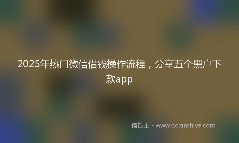 2025年热门微信借钱操作流程，分享五个黑户下款app