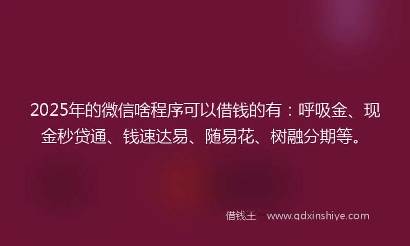 2025年的微信啥程序可以借钱的有：呼吸金、现金秒贷通、钱速达易、随易花、树融分期等。