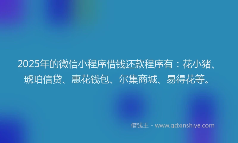 2025年的微信小程序借钱还款程序有：花小猪、琥珀信贷、惠花钱包、尔集商城、易得花等。