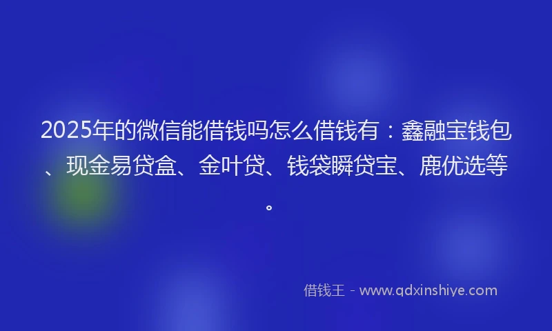 2025年的微信能借钱吗怎么借钱有：鑫融宝钱包、现金易贷盒、金叶贷、钱袋瞬贷宝、鹿优选等。