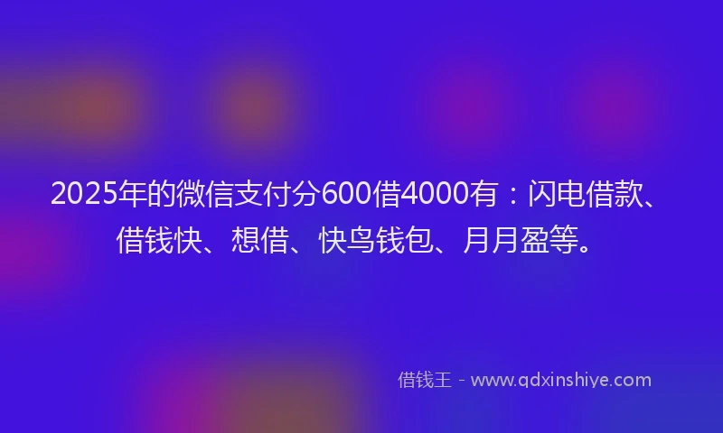 2025年的微信支付分600借4000有：闪电借款、借钱快、想借、快鸟钱包、月月盈等。