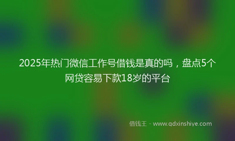 2025年热门微信工作号借钱是真的吗，盘点5个网贷容易下款18岁的平台